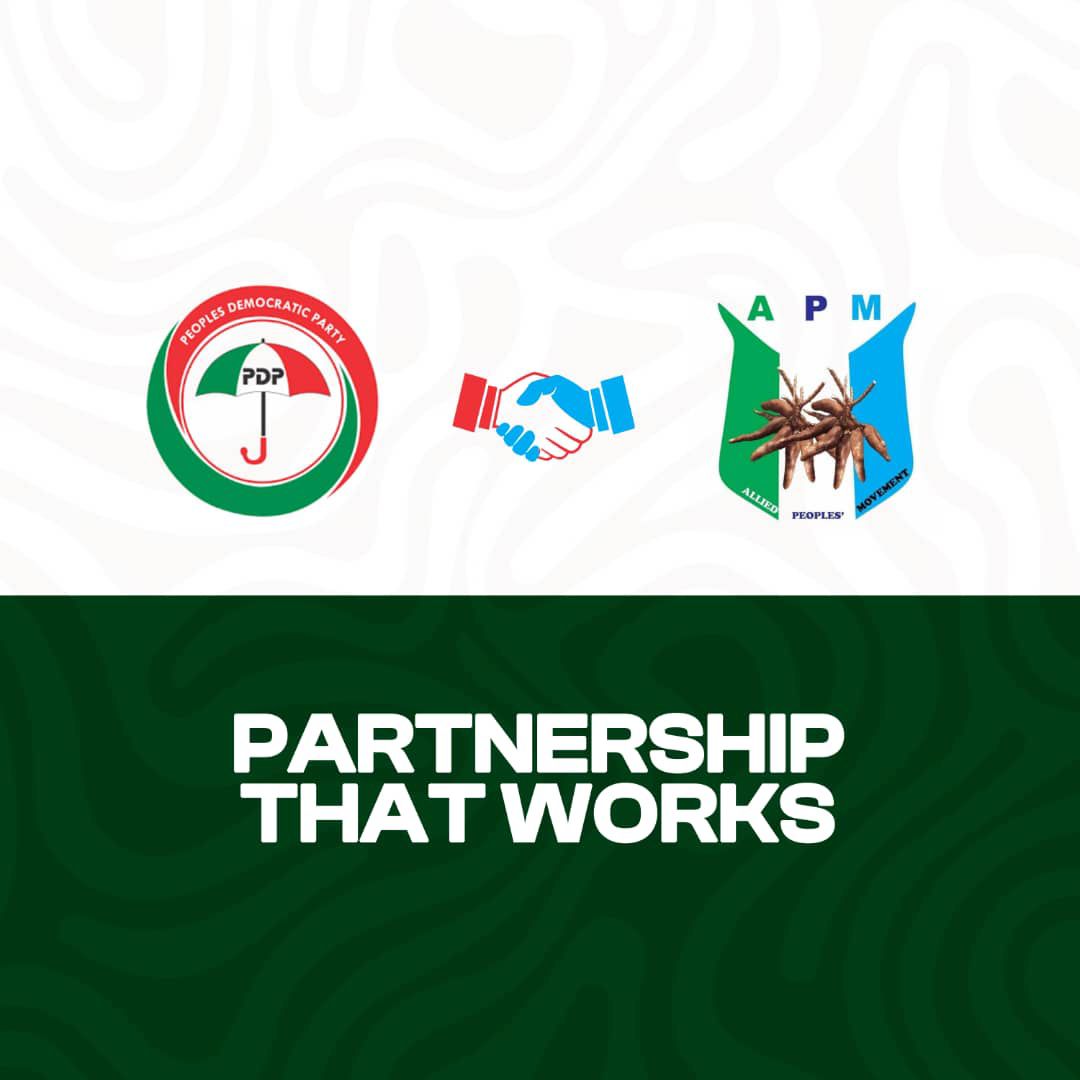 PDP - APM Alliance Flag